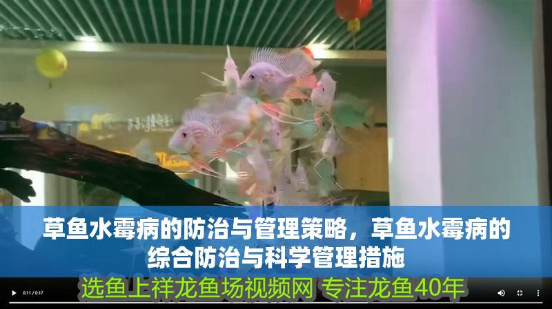 草魚水霉病的防治與管理策略，草魚水霉病的綜合防治與科學管理措施