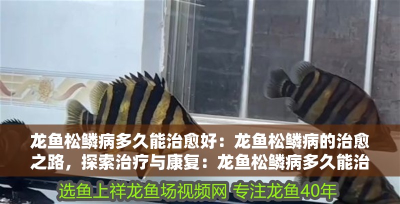 龍魚松鱗病多久能治愈好：龍魚松鱗病的治愈之路，探索治療與康復：龍魚松鱗病多久能治愈