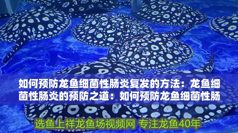 如何預(yù)防龍魚細(xì)菌性腸炎復(fù)發(fā)的方法：龍魚細(xì)菌性腸炎的預(yù)防之道：如何預(yù)防龍魚細(xì)菌性腸炎