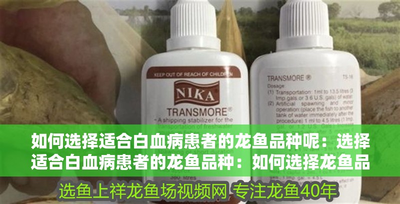 如何選擇適合白血病患者的龍魚品種呢：選擇適合白血病患者的龍魚品種：如何選擇龍魚品種