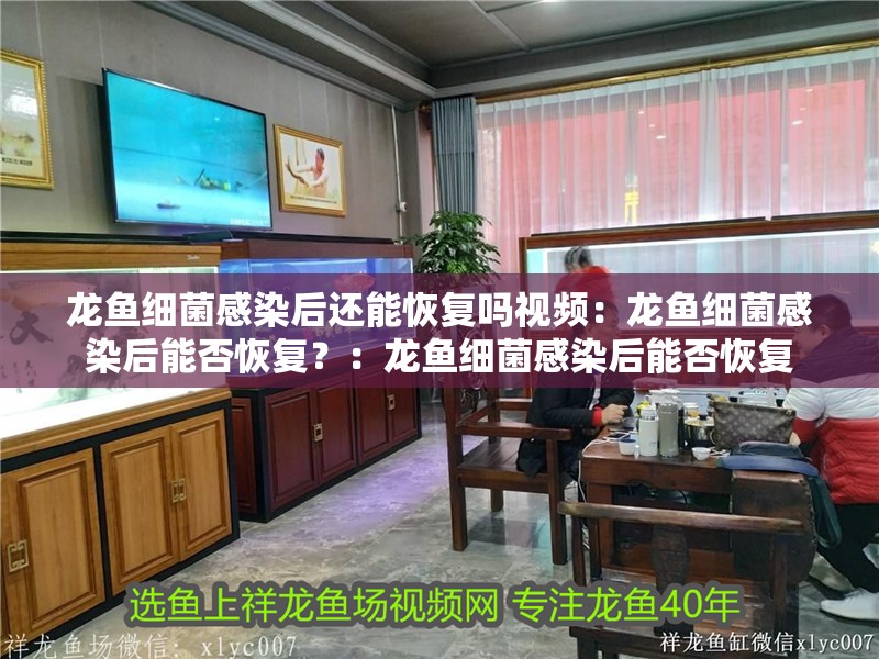 龍魚細菌感染后還能恢復嗎視頻：龍魚細菌感染后能否恢復？：龍魚細菌感染后能否恢復