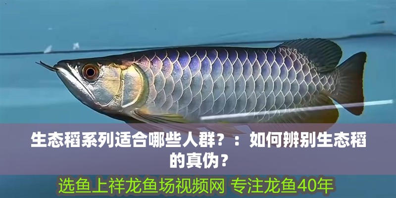 生態稻系列適合哪些人群？：如何辨別生態稻的真偽？