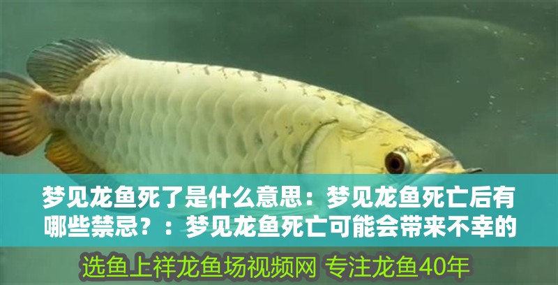 夢見龍魚死了是什么意思：夢見龍魚死亡后有哪些禁忌？：夢見龍魚死亡可能會帶來不幸的挑戰，夢見龍魚死亡后的禁忌