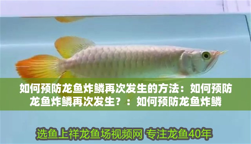 如何預防龍魚炸鱗再次發生的方法：如何預防龍魚炸鱗再次發生？：如何預防龍魚炸鱗