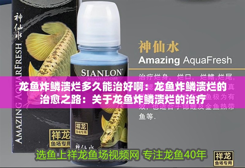 龍魚炸鱗潰爛多久能治好啊：龍魚炸鱗潰爛的治愈之路：關于龍魚炸鱗潰爛的治療