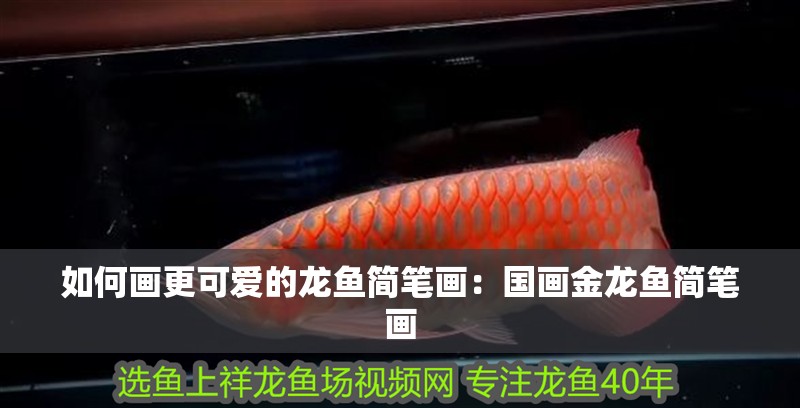 如何畫更可愛的龍魚簡筆畫：國畫金龍魚簡筆畫