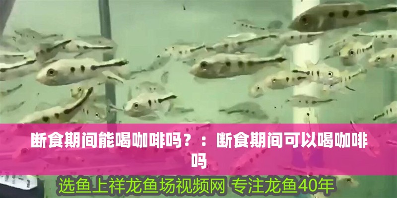 斷食期間能喝咖啡嗎？：斷食期間可以喝咖啡嗎