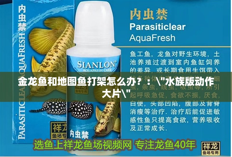 金龍魚和地圖魚打架怎么辦？：\