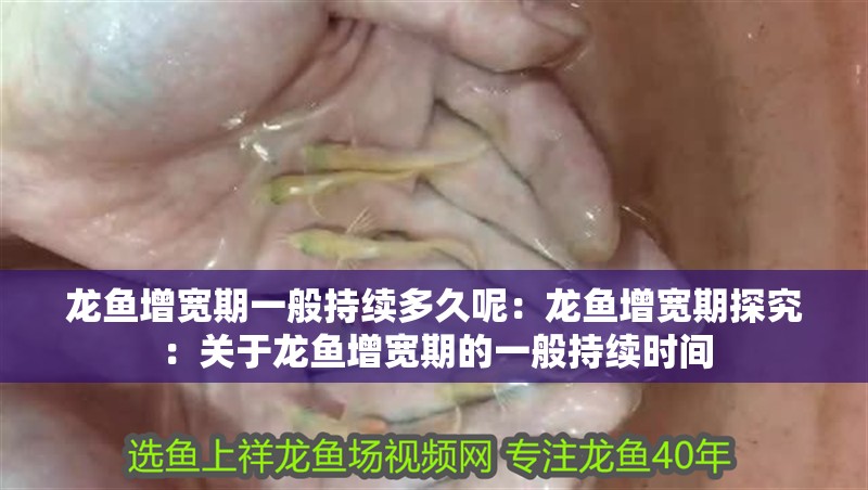 龍魚增寬期一般持續多久呢：龍魚增寬期探究：關于龍魚增寬期的一般持續時間