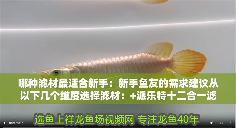 哪種濾材最適合新手：新手魚(yú)友的需求建議從以下幾個(gè)維度選擇濾材：+派樂(lè)特十二合一濾