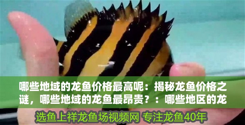 哪些地域的龍魚價格最高呢：揭秘龍魚價格之謎，哪些地域的龍魚最昂貴？：哪些地區的龍魚價格相對較高，龍魚價格相對較高 哪些地域的龍魚價格最高呢：揭秘龍魚價格之謎，哪些地域的龍魚最昂貴？：哪些地區的龍魚價格相對較高，龍魚價格相對較高 水族問答