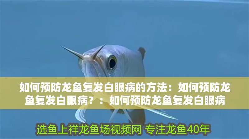 如何預(yù)防龍魚復(fù)發(fā)白眼病的方法：如何預(yù)防龍魚復(fù)發(fā)白眼病？：如何預(yù)防龍魚復(fù)發(fā)白眼病