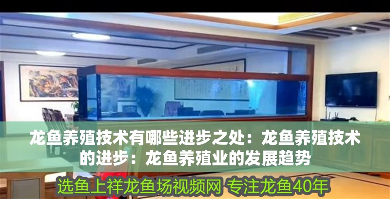 龍魚養殖技術有哪些進步之處：龍魚養殖技術的進步：龍魚養殖業的發展趨勢