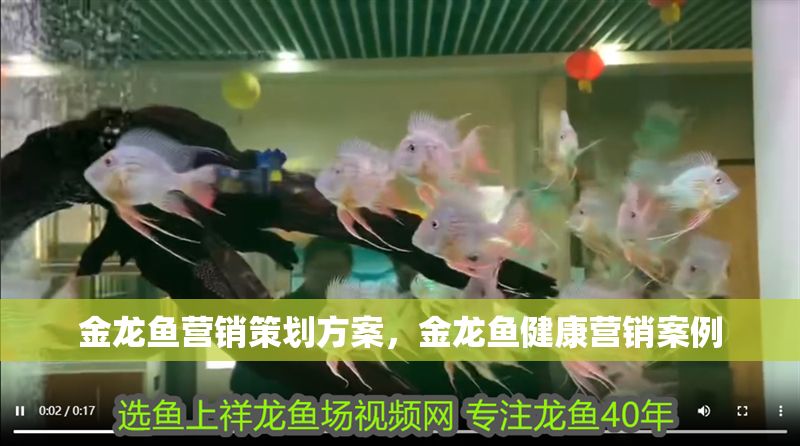 金龍魚營銷策劃方案，金龍魚健康營銷案例