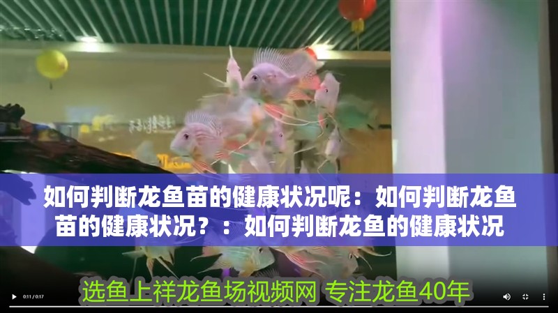 如何判斷龍魚苗的健康狀況呢：如何判斷龍魚苗的健康狀況？：如何判斷龍魚的健康狀況