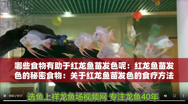 哪些食物有助于紅龍魚(yú)苗發(fā)色呢：紅龍魚(yú)苗發(fā)色的秘密食物：關(guān)于紅龍魚(yú)苗發(fā)色的食療方法