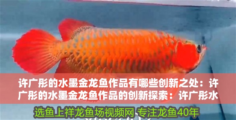 許廣彤的水墨金龍魚作品有哪些創新之處：許廣彤的水墨金龍魚作品的創新探索：許廣彤水墨金龍魚作品欣賞