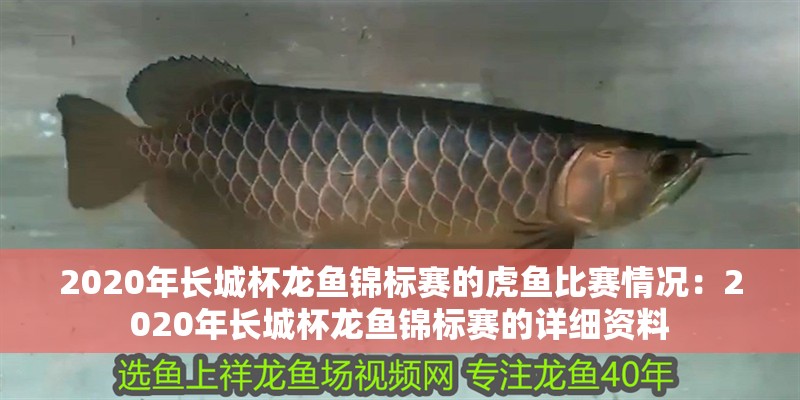 2020年長城杯龍魚錦標賽的虎魚比賽情況：2020年長城杯龍魚錦標賽的詳細資料