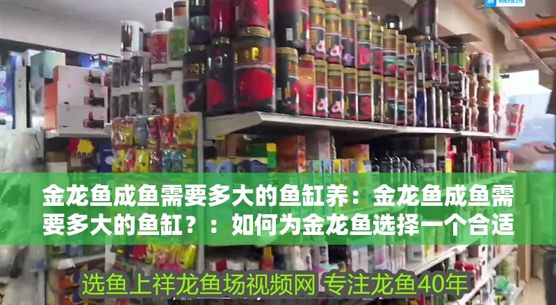 金龍魚成魚需要多大的魚缸養：金龍魚成魚需要多大的魚缸？：如何為金龍魚選擇一個合適的魚缸
