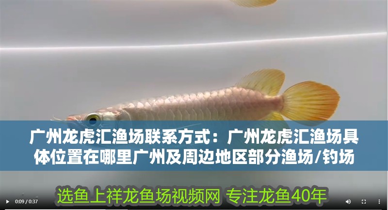 廣州龍虎匯漁場聯系方式：廣州龍虎匯漁場具體位置在哪里廣州及周邊地區部分漁場/釣場