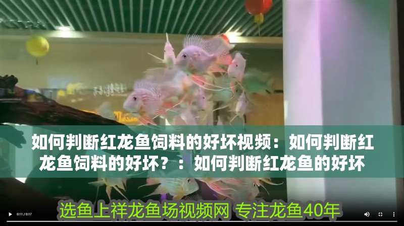 如何判斷紅龍魚飼料的好壞視頻：如何判斷紅龍魚飼料的好壞？：如何判斷紅龍魚的好壞