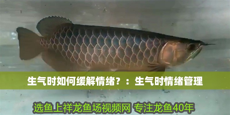 生氣時如何緩解情緒？：生氣時情緒管理