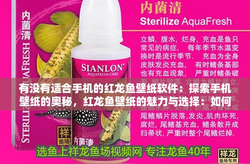 有沒有適合手機的紅龍魚壁紙軟件：探索手機壁紙的奧秘，紅龍魚壁紙的魅力與選擇：如何選擇適合的手機紅龍魚壁紙