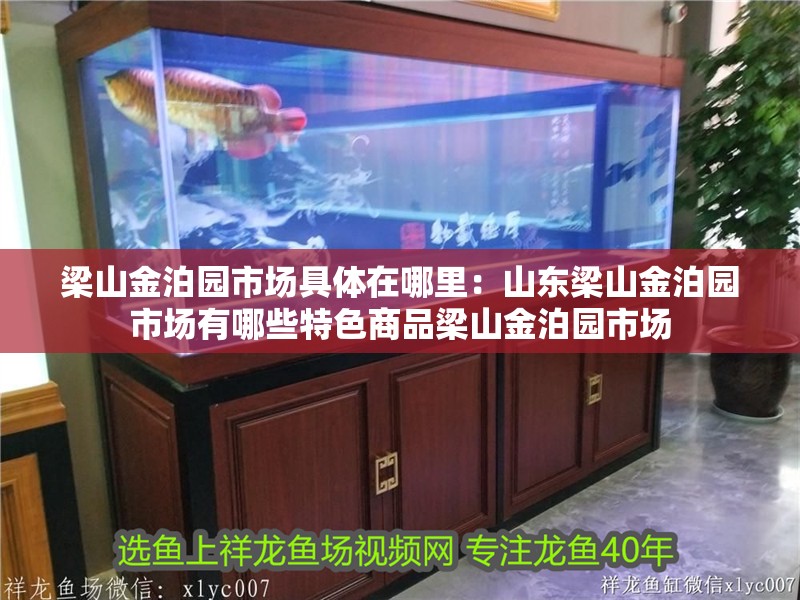 梁山金泊園市場具體在哪里：山東梁山金泊園市場有哪些特色商品梁山金泊園市場