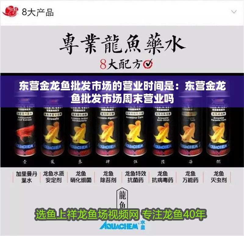 東營金龍魚批發市場的營業時間是：東營金龍魚批發市場周末營業嗎