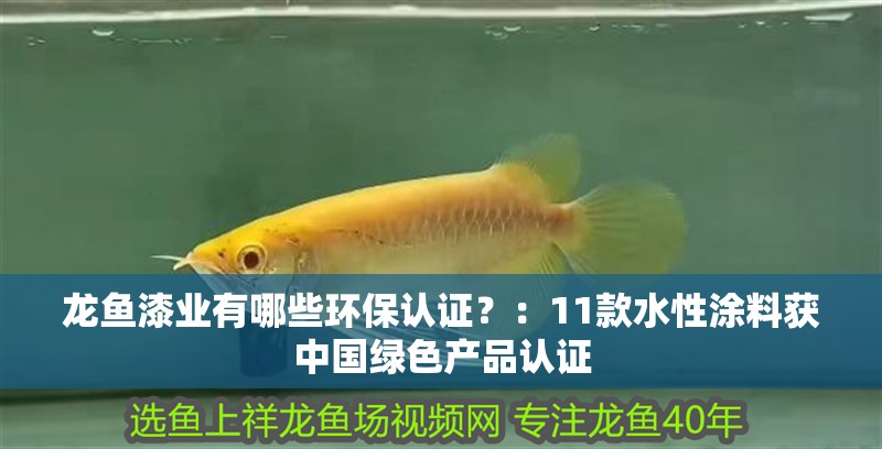龍魚漆業有哪些環保認證？：11款水性涂料獲中國綠色產品認證 龍魚漆業有哪些環保認證？：11款水性涂料獲中國綠色產品認證 龍魚百科