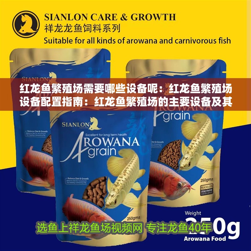 紅龍魚繁殖場需要哪些設(shè)備呢：紅龍魚繁殖場設(shè)備配置指南：紅龍魚繁殖場的主要設(shè)備及其作用