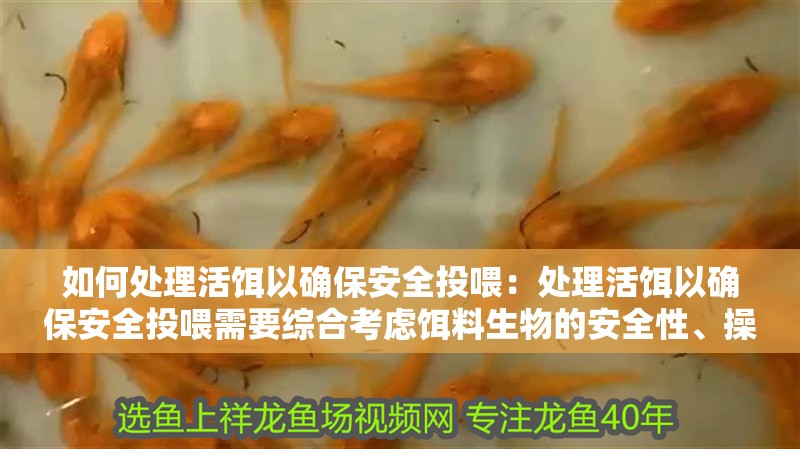 如何處理活餌以確保安全投喂：處理活餌以確保安全投喂需要綜合考慮餌料生物的安全性、操作規(guī)范以及目標(biāo)動物的健康需求