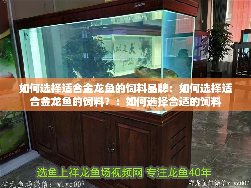 如何選擇適合金龍魚的飼料品牌：如何選擇適合金龍魚的飼料？：如何選擇合適的飼料
