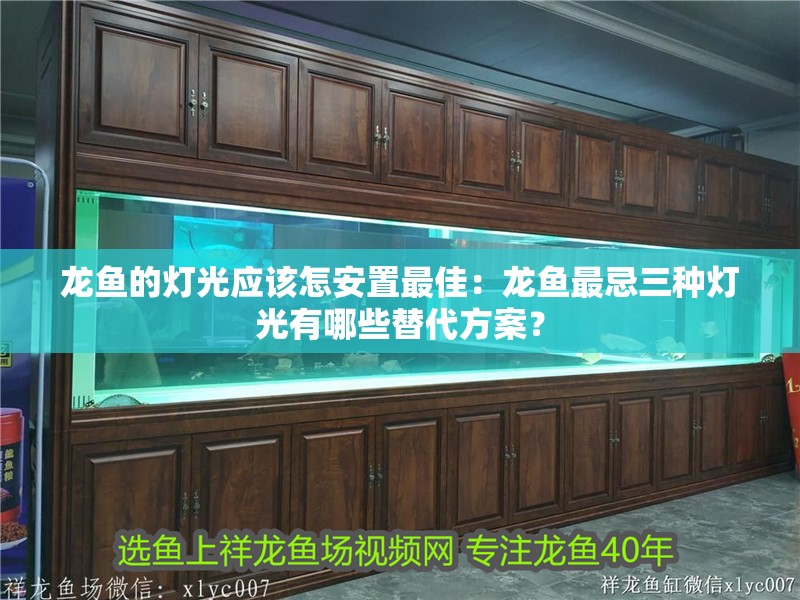 龍魚的燈光應(yīng)該怎安置最佳：龍魚最忌三種燈光有哪些替代方案？ 龍魚的燈光應(yīng)該怎安置最佳：龍魚最忌三種燈光有哪些替代方案？ 水族問答