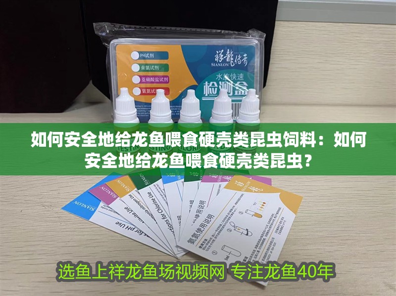 如何安全地給龍魚喂食硬殼類昆蟲飼料：如何安全地給龍魚喂食硬殼類昆蟲？