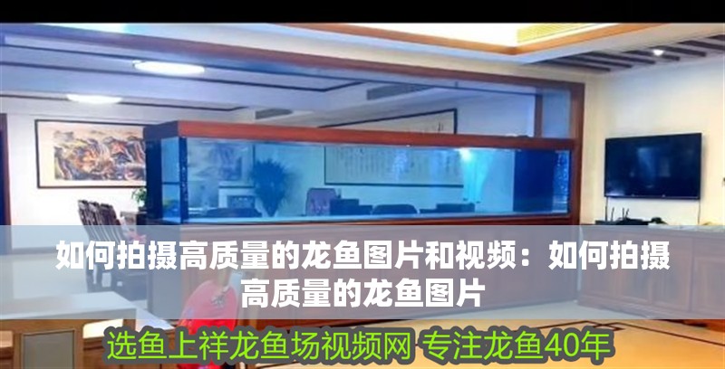 如何拍攝高質(zhì)量的龍魚圖片和視頻：如何拍攝高質(zhì)量的龍魚圖片