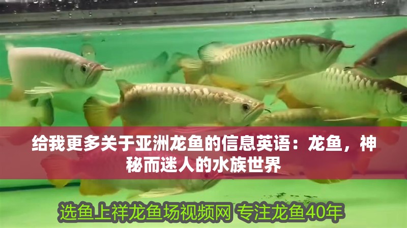 給我更多關于亞洲龍魚的信息英語：龍魚，神秘而迷人的水族世界