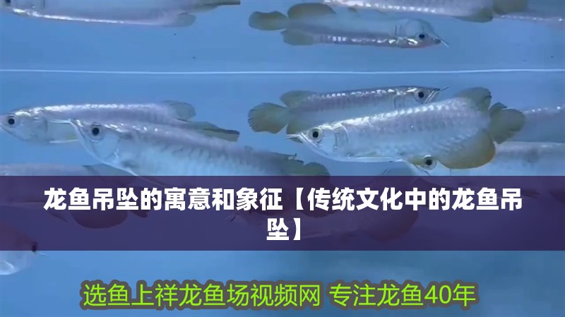 龍魚吊墜的寓意和象征【傳統文化中的龍魚吊墜】 龍魚吊墜的寓意和象征【傳統文化中的龍魚吊墜】 水族問答