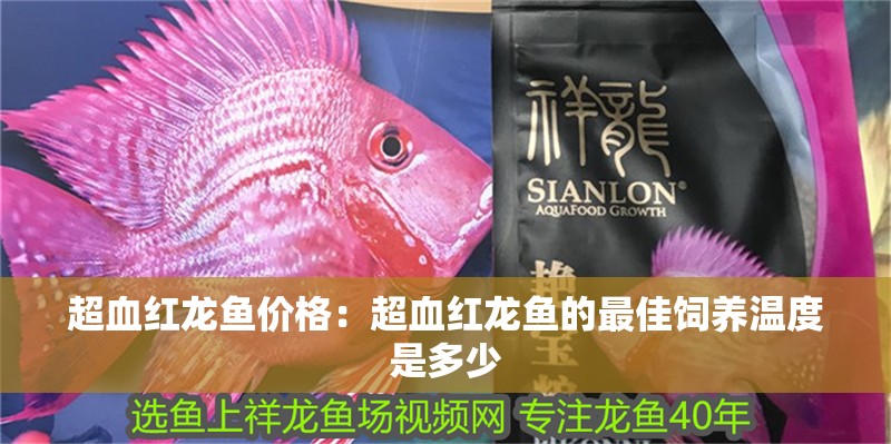 超血紅龍魚價(jià)格：超血紅龍魚的最佳飼養(yǎng)溫度是多少