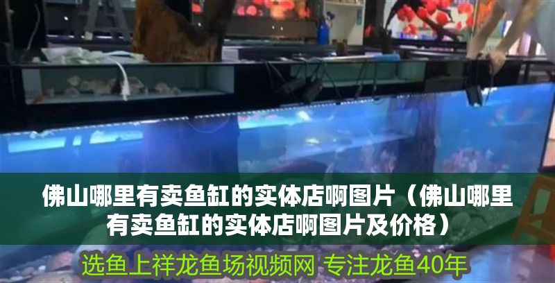<strong><mark>佛山</mark></strong>哪里有賣魚缸的實體店啊圖片（<strong><mark>佛山</mark></strong>哪里有賣魚缸的實體店啊圖片及價格）