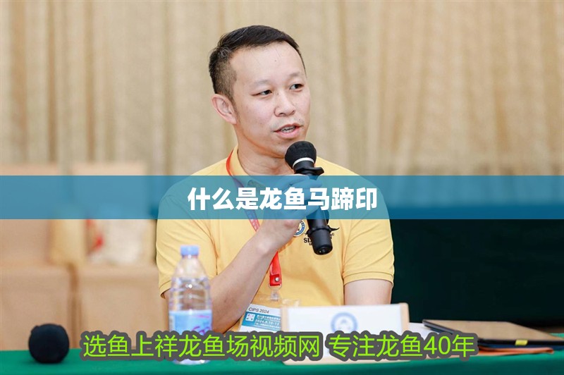 什么是龍魚馬蹄印