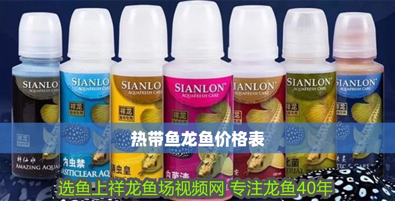 熱帶魚龍魚價格表