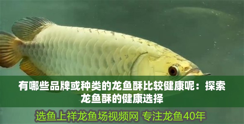 有哪些品牌或種類的龍魚酥比較健康呢：探索龍魚酥的健康選擇