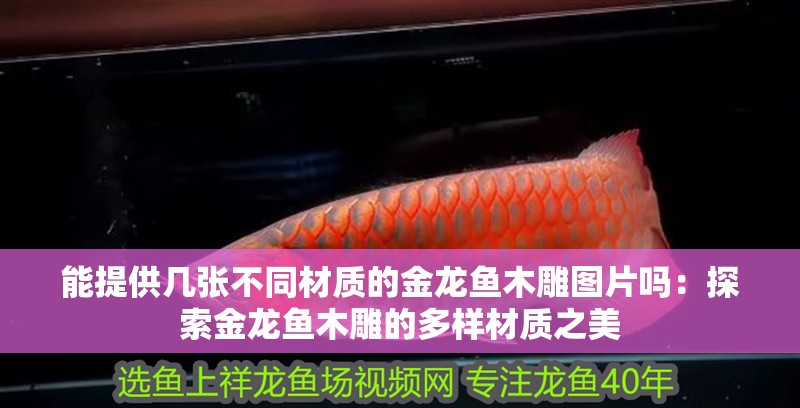 能提供幾張不同材質的金龍魚木雕圖片嗎：探索金龍魚木雕的多樣材質之美