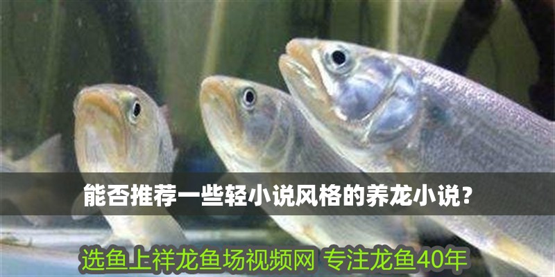 能否推薦一些輕小說(shuō)風(fēng)格的養(yǎng)龍小說(shuō)?