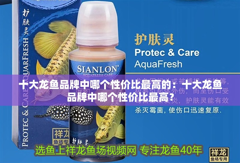 十大龍魚(yú)品牌中哪個(gè)性?xún)r(jià)比最高的：十大龍魚(yú)品牌中哪個(gè)性?xún)r(jià)比最高？ 十大龍魚(yú)品牌中哪個(gè)性?xún)r(jià)比最高的：十大龍魚(yú)品牌中哪個(gè)性?xún)r(jià)比最高？ 水族問(wèn)答