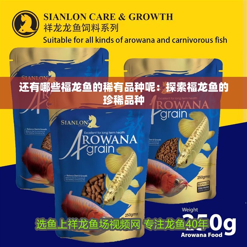 還有哪些福龍魚的稀有品種呢:探索福龍魚的珍稀品種