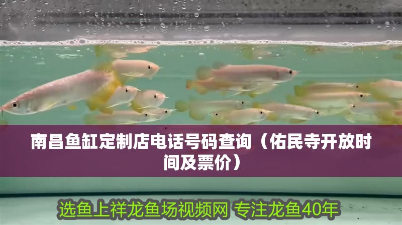 南昌魚缸定制店電話號碼查詢(佑民寺開放時間及票價) 全國水族館企業名錄 第1張 南昌魚缸定制店電話號碼查詢(佑民寺開放時間及票價) 南昌魚缸定制店電話號碼查詢(佑民寺開放時間及票價) 全國水族館企業名錄 第1張