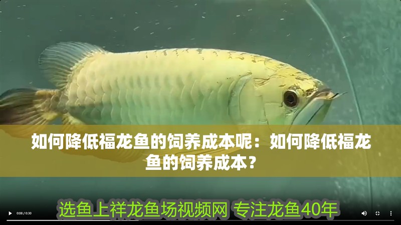 如何降低福龍魚的飼養成本呢：如何降低福龍魚的飼養成本？