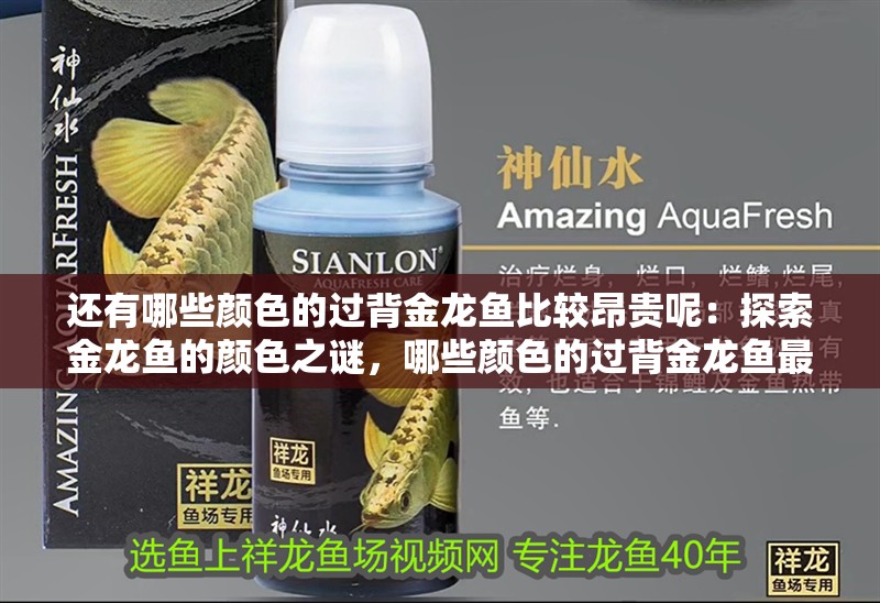還有哪些顏色的過背金龍魚比較昂貴呢：探索金龍魚的顏色之謎，哪些顏色的過背金龍魚最為昂貴？ 還有哪些顏色的過背金龍魚比較昂貴呢：探索金龍魚的顏色之謎，哪些顏色的過背金龍魚最為昂貴？ 水族問答